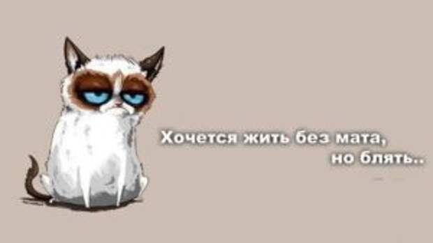 У любителей мата нашли богатый словарь и высокий интеллект