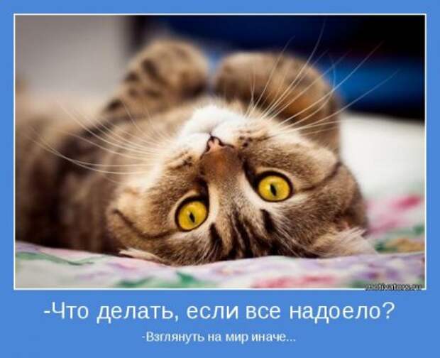 Мотиваторы. Решаем что написать на новом листе.
