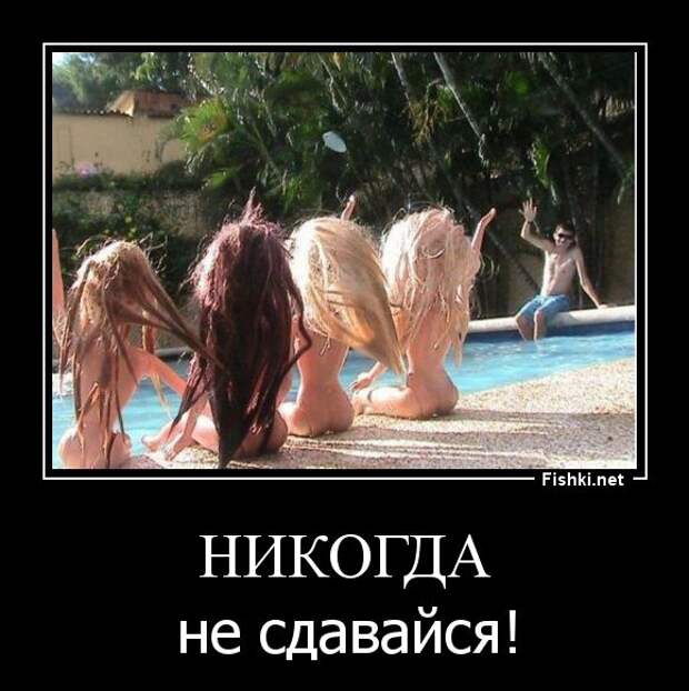 Демотиваторы  демотиваторы, прикол, смех, юмор