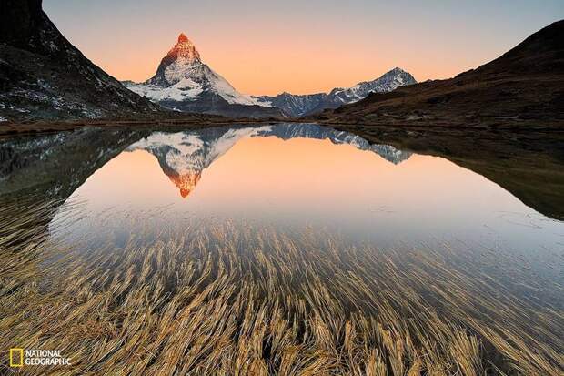 Подборка лучших фотографий, опубликованных журналом National Geographic в 2015 году