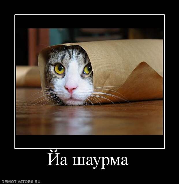 Сборник моих демотиваторов демотиватор, сборник