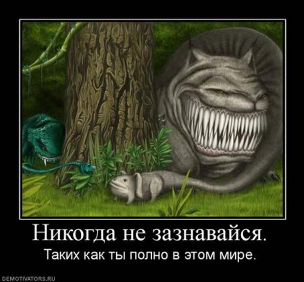 У нас редко бывают грустные демотиваторы, но и они порой нужны!