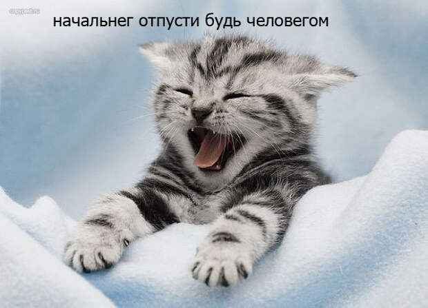 Пятница