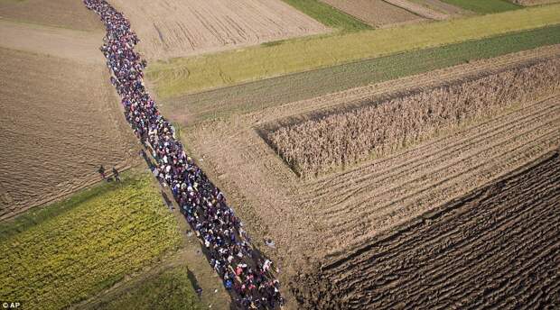 Британская пресса ужаснулась снимкам марширующей по Балканам колонны мигрантов.