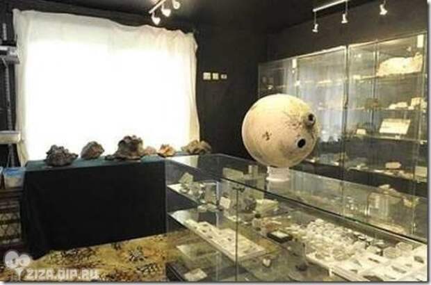 Необычные лоты на Ebay (16 фото)