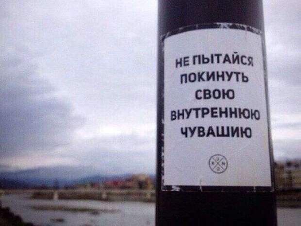 Забавная подбрка фотографий Забавная подбрка фотографий