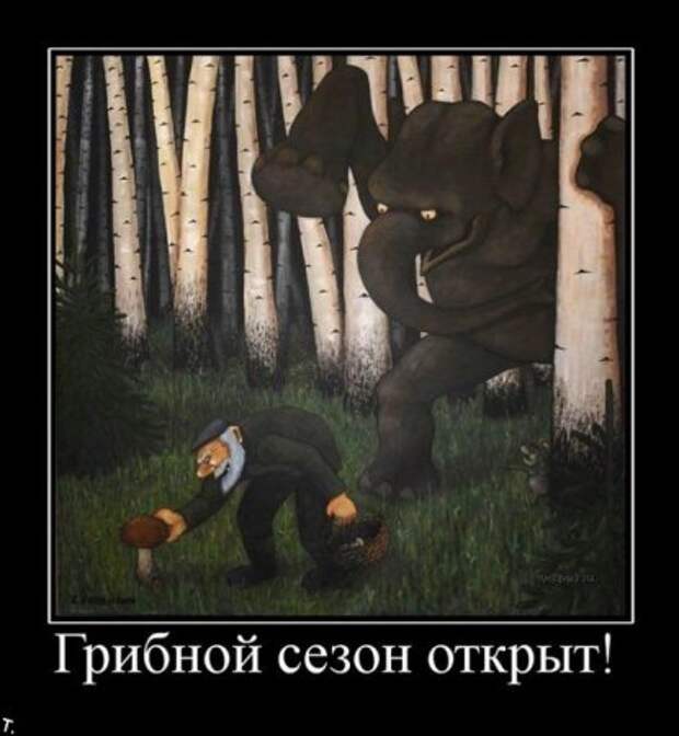 Фото демотиваторы.