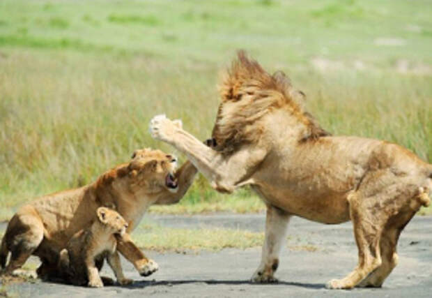 information_items_18313