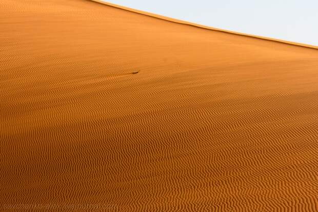 Африка. Намибия. Пустыня Намиб Соссусфлей Sossusvlei15 Африка. Намибия. Пустыня Намиб Соссусфлей