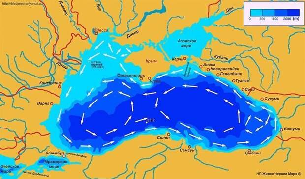Очки Книповича. история, русское море, факты