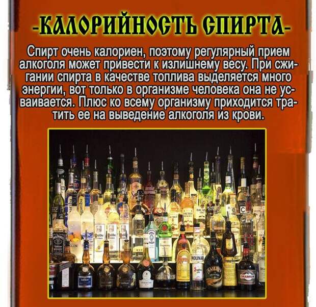 11 alcohol. Москва Петушки алкоголь. Алкоголь мифы и реальность.