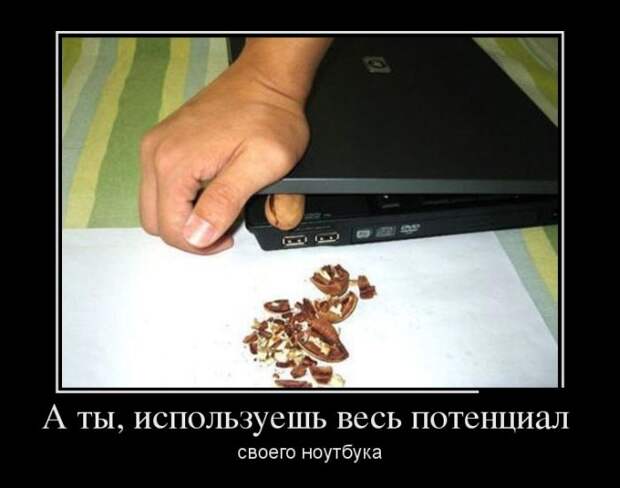 Демотиваторы (30 фото)
