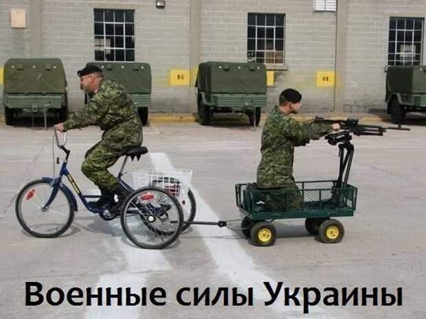 Смешные картинки с надписями прикол, юмор
