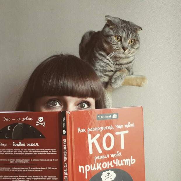 77 изумительных фотографий котов