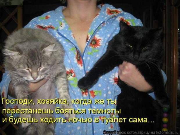 Лучшие котоматрицы - прикольные картинки Лучшие котоматрицы - прикольные картинки
