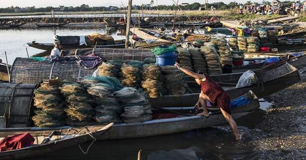 Мирная рыбацкая деревушка в Хюэ, Вьетнам Вьетнам, Хюэ, деревня, мир, природа, рыбалка, фотомир