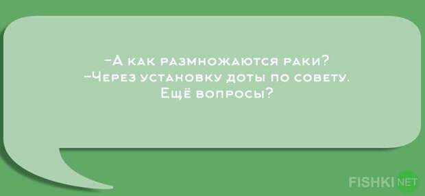 Устами преподавателей глаголет истина  преподаватель, студенты, юмор