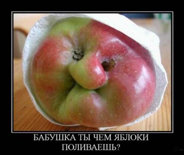 Прикольные Демы