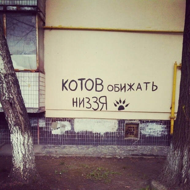 позитивные надписи на стенах 