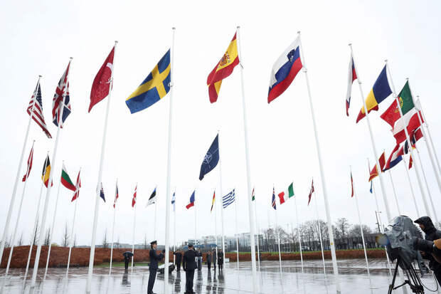 НАТО может применить пятую статью Североатлантического пакта из-за кибератаки