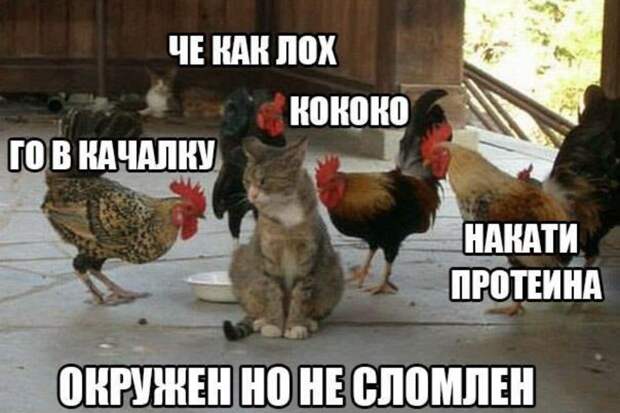 Пост хорошего настроения! Пост хорошего настроения! прикол, юмор
