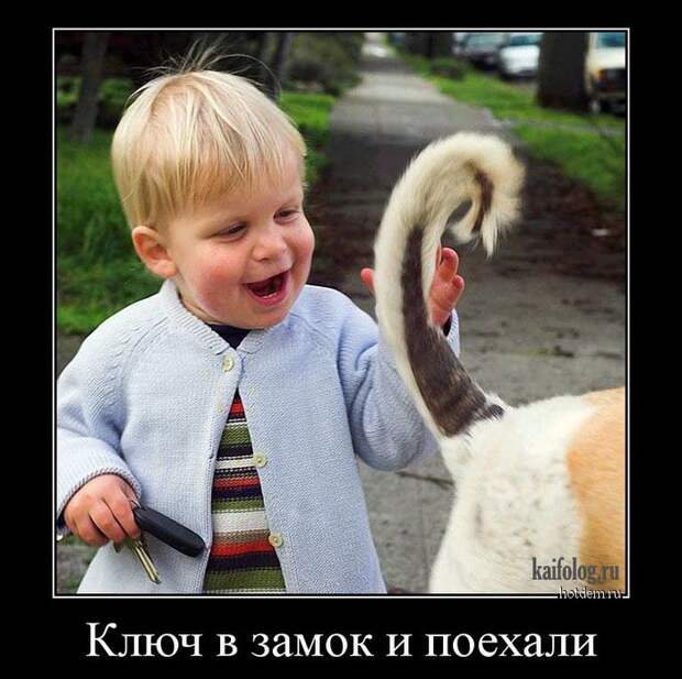 Весёлые демотиваторы - 262 (50 демотиваторов)