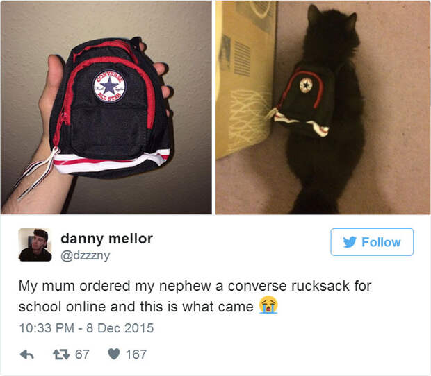 My Mum Ordered My Nephew A Converse Rucksack For School Online And This Is What Came