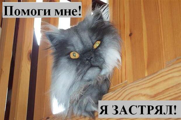 Мысли :) (50мыслей)