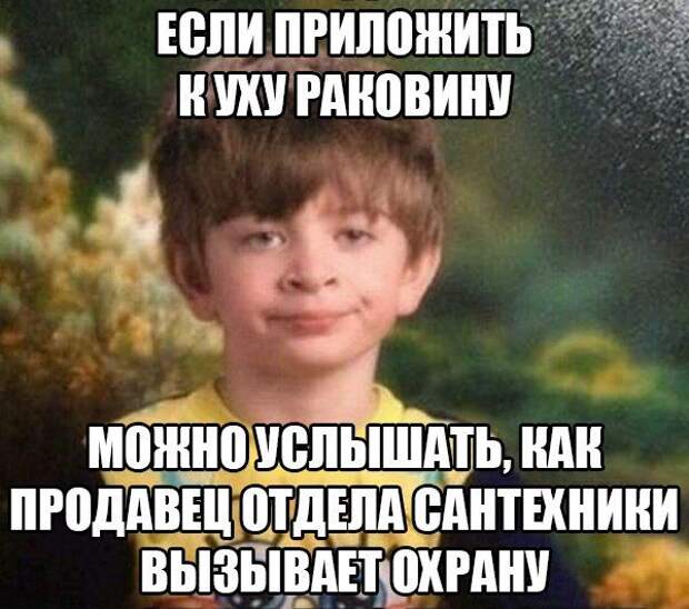 Картинки со смешными подписями картинки, прикол, юмор