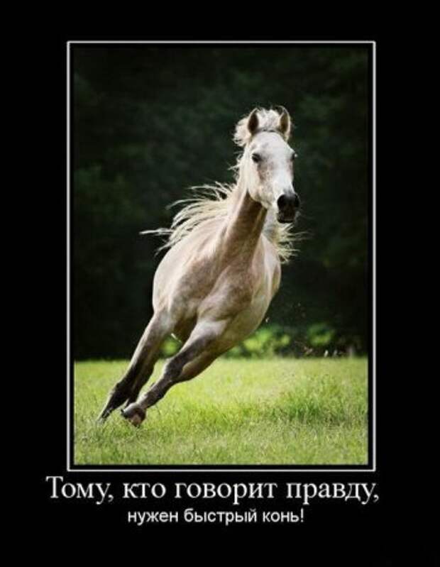 У нас редко бывают грустные демотиваторы, но и они порой нужны!