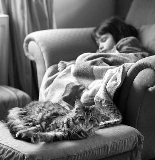 5-летняя девочка аутист и ее терапевтическая кошка Тула айрис грейс  (22)
