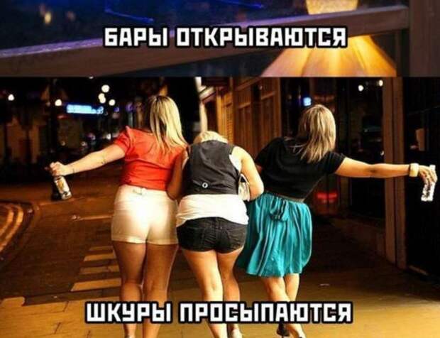 Демотиваторы про коронавирус с надписями. Подборка chert-poberi-dem-koronavirus-chert-poberi-dem-koronavirus-40040411082020-18 картинка chert-poberi-dem-koronavirus-40040411082020-18