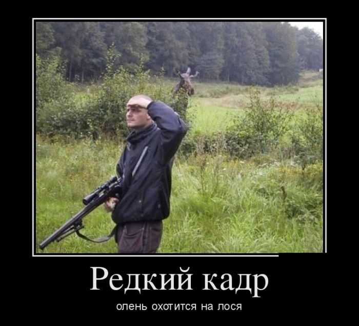 Демотиваторы (30 фото) Демотиваторы (30 фото)