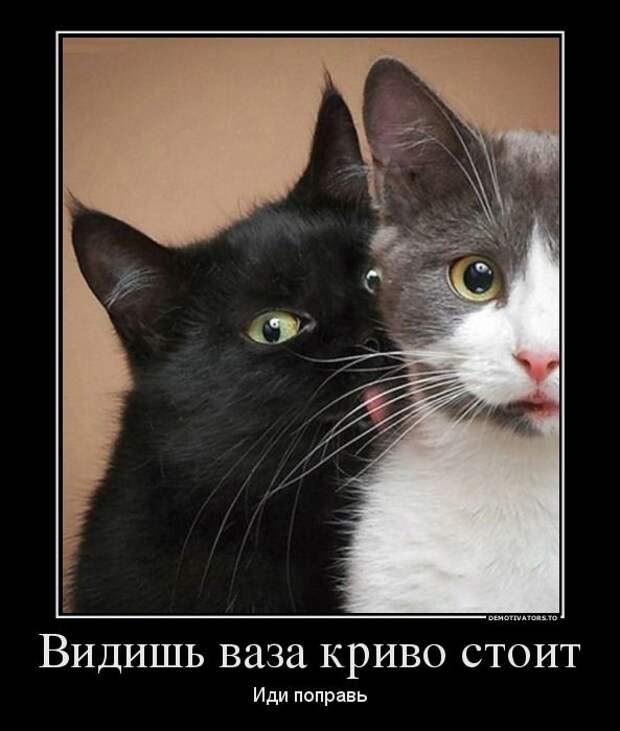 Сборник моих демотиваторов демотиватор, сборник