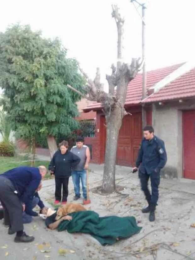 Пёс обнял пострадавшего хозяина лапами и не сдвинулся с места…