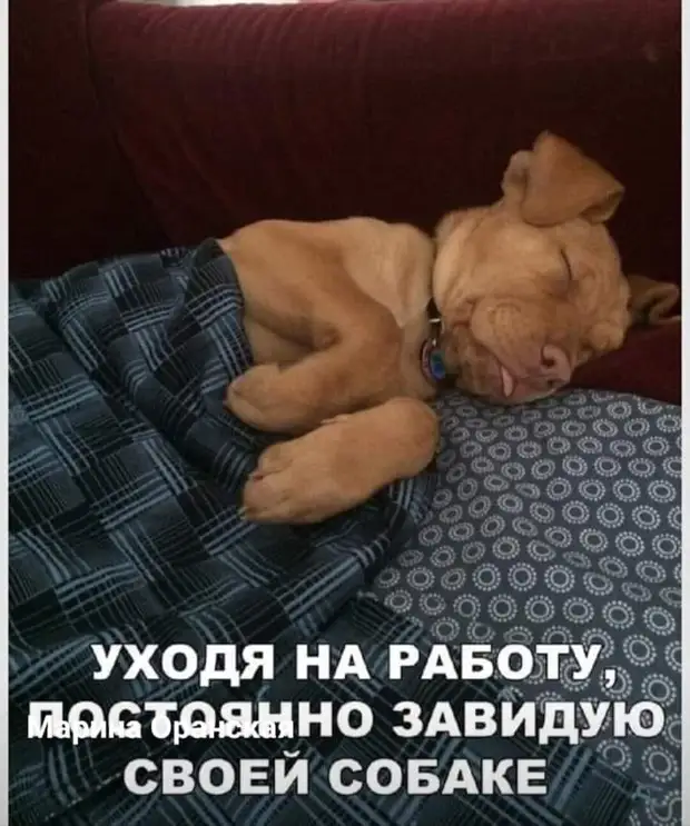 Настоящего аристократа всегда можно отличить по оттопыренному мизинчику во время драки с бомжами манекена, только, другую, будет, первый, ночью, второй, француз, рубашечка, прошлой, говорила, думаю, брючки, доченька, итальянец, холодильник, говорит, парень, наутро, серых