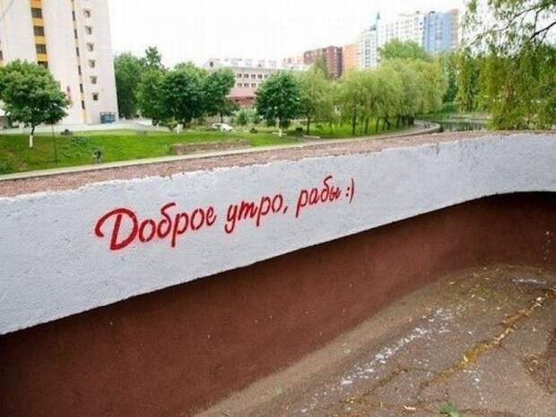 Оптимисты, которые удивят вас своей непосредственностью Оптимисты, которые удивят вас своей непосредственностью оптимизм, прикол, юмор