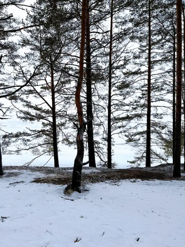 Отправляемся в сердце Карелии вместе с отелем "Точка на карте. Видлица"