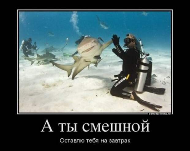 Просто прикольные демотиваторы.