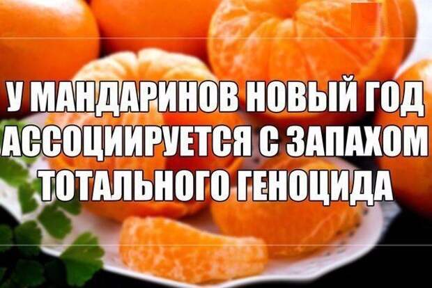Праздник удался! Поделитесь темой с друзьями!