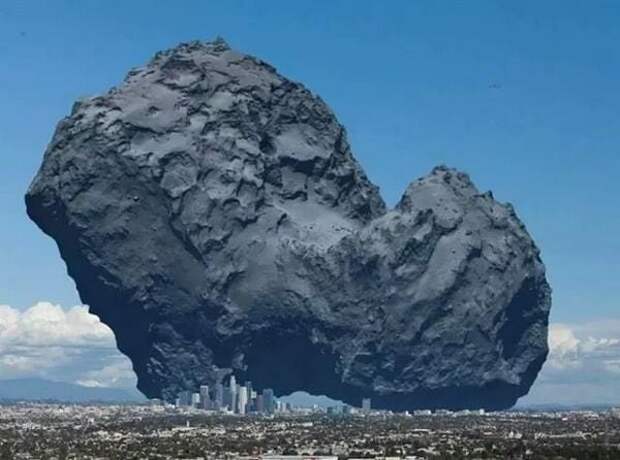 12. Комета Чурюмова — Герасименко и Лос-Анджелес в мире, животные, люди, размер, разница, фото