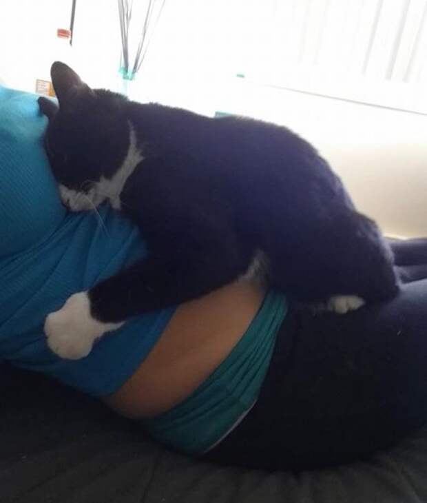 кошка нянчится с ребенком 