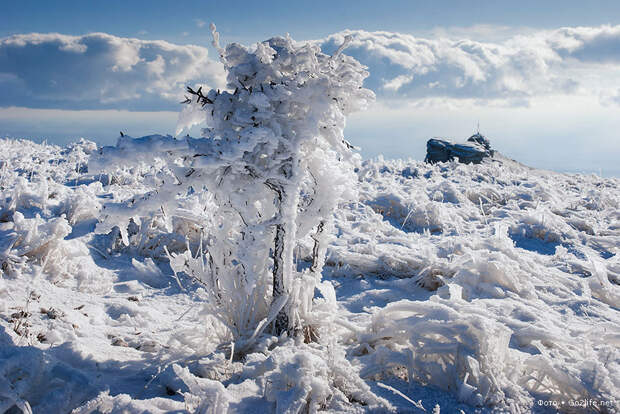 Пейзажи зимнего Крыма