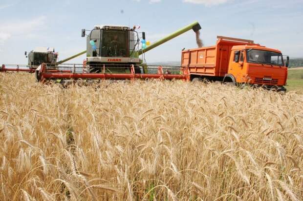 Как Путин вывел Россию на первое место по экспорту зерна