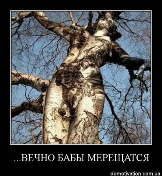 Смешные фразы в демотиваторах высший класс.