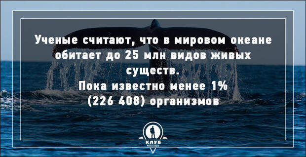Интересные факты о нашей планете
