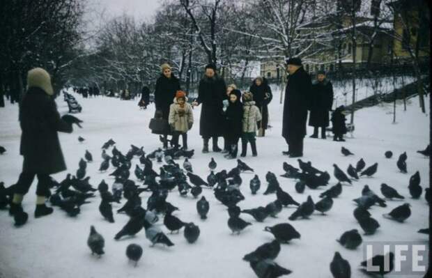 Советское детство глазами американского фотографа детство, советское