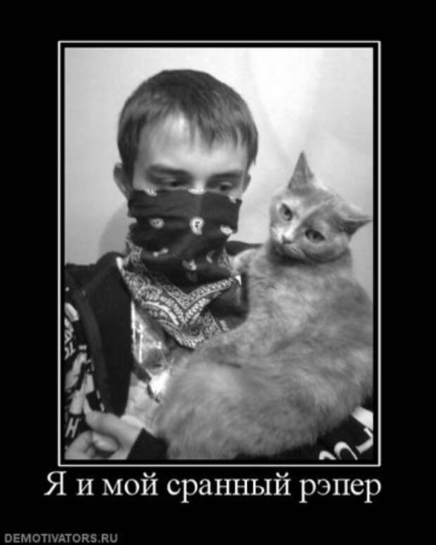 Демотиваторы это не просто прикольные фотки, но еще и множество смешных подписей.