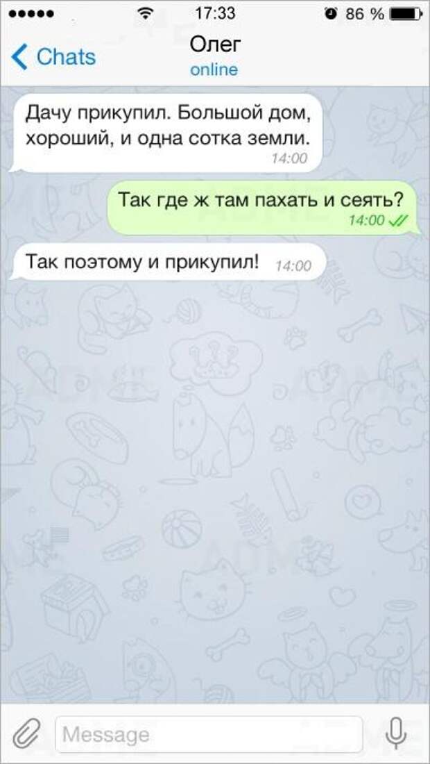 15 СМС от людей с бесценным жизненным опытом смс, юмор