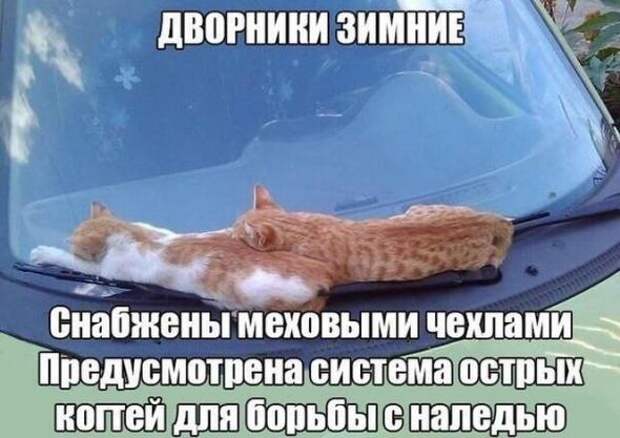 Подборка автоприколов - 25